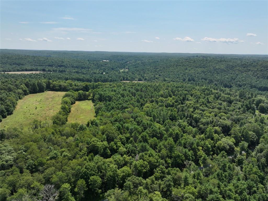 #6 photo, 5 Pine Meadows Farm, Old County Road, Cochecton , NY 12726