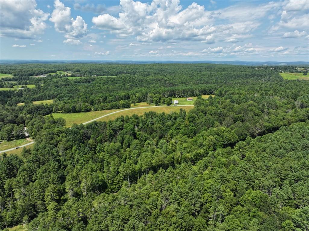 #8 photo, 5 Pine Meadows Farm, Old County Road, Cochecton , NY 12726