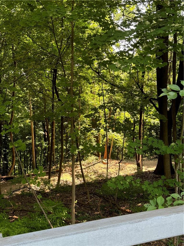 #2 photo, 1129 Route 9w, Nyack , NY 10960