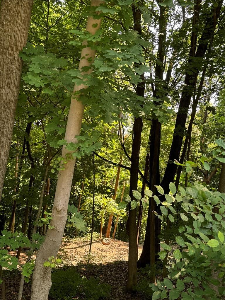 #3 photo, 1129 Route 9w, Nyack , NY 10960