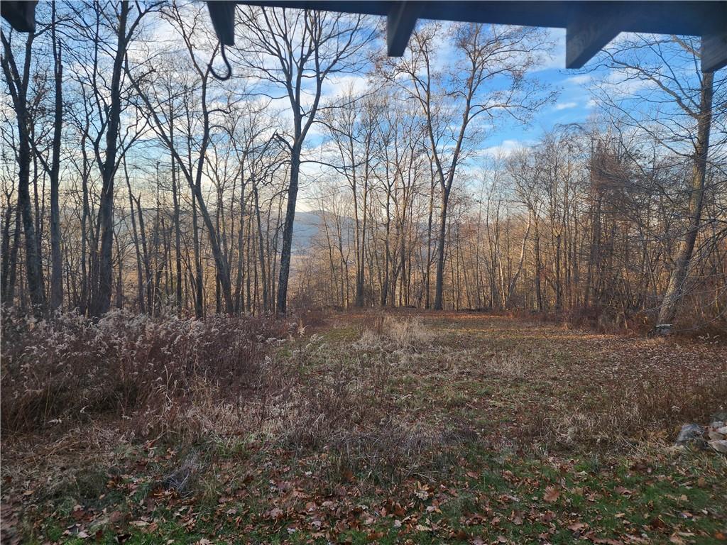 #2 photo, 80 Hunter Lane, Wassaic , NY 12592