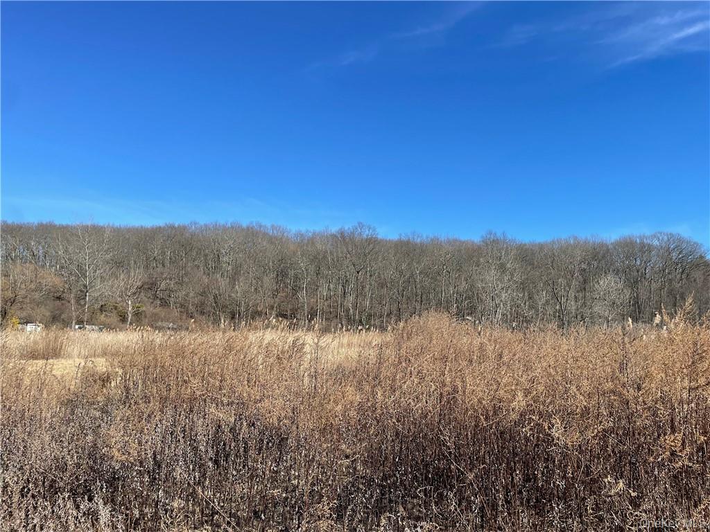 #6 photo, 228-230,238,240 Route 52, Carmel , NY 10512