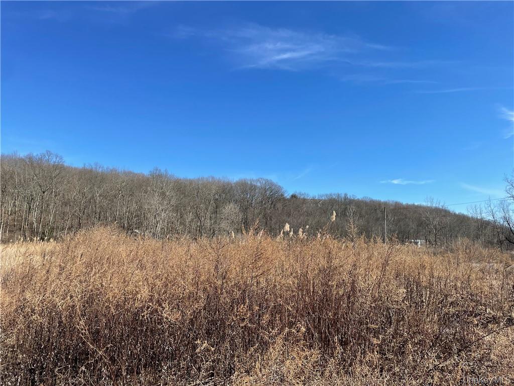 #8 photo, 228-230,238,240 Route 52, Carmel , NY 10512