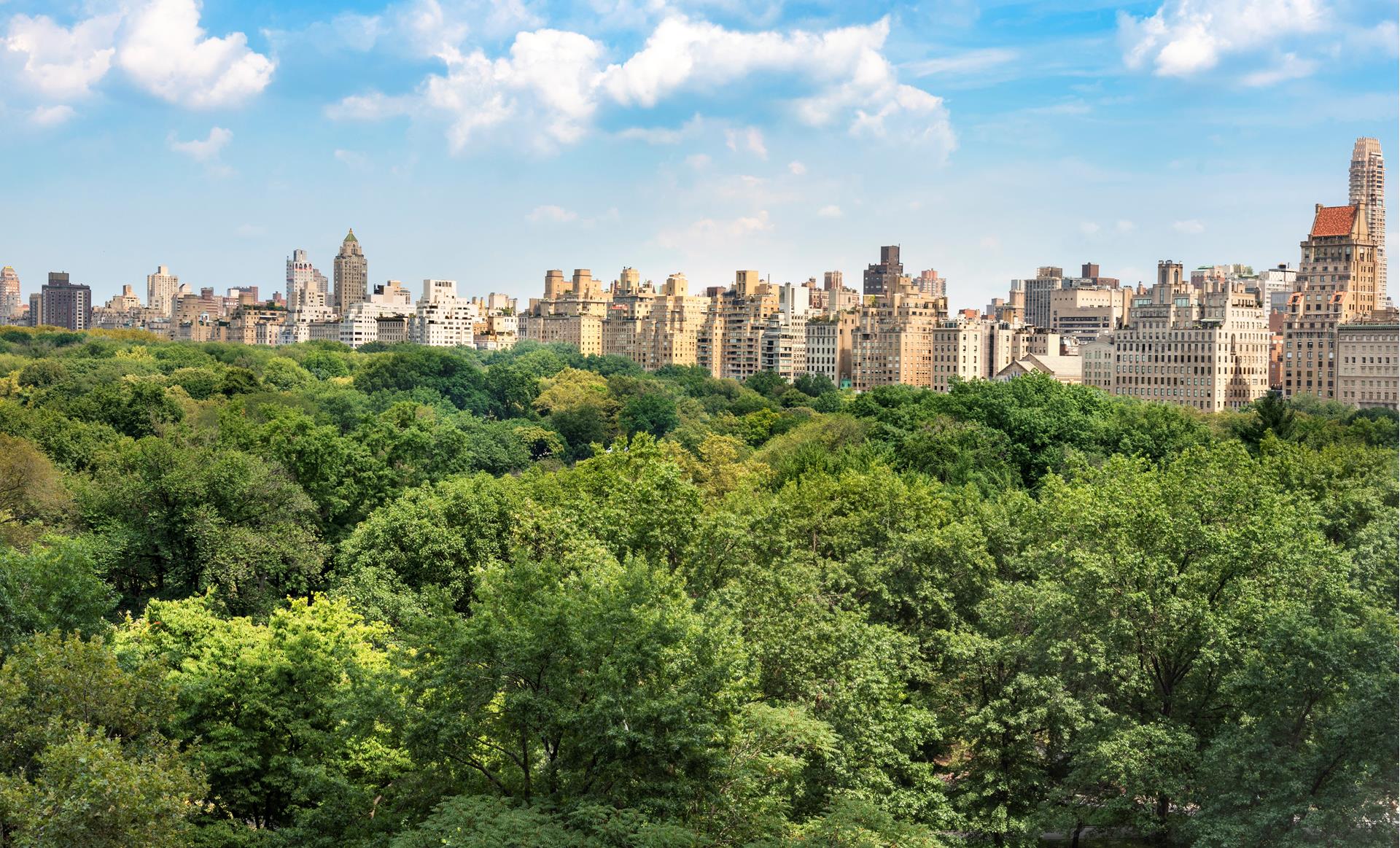 #14 photo, 160 CENTRAL Park S, マンハッタン Central Park South , NY 10019