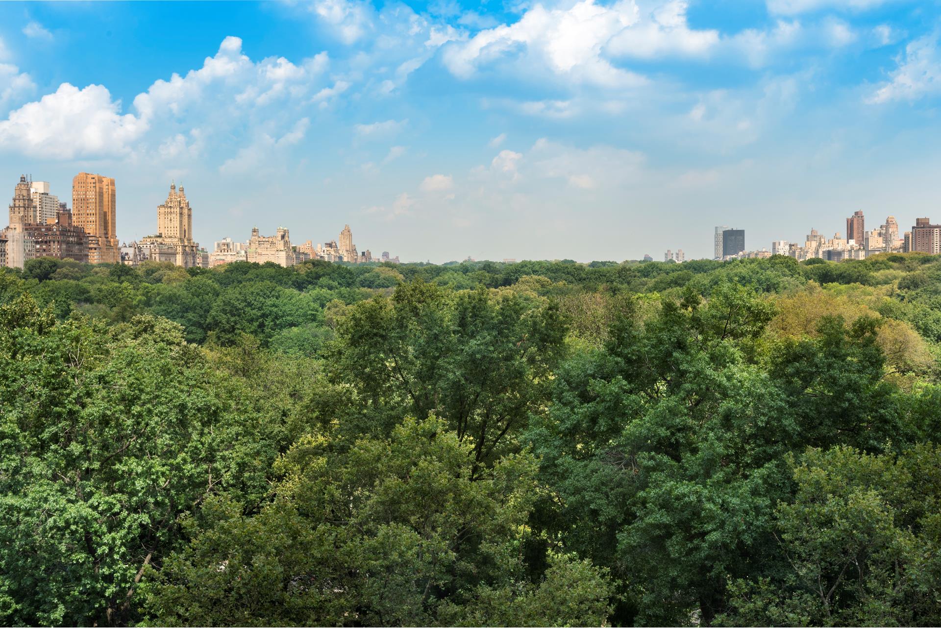 #9 photo, 160 CENTRAL Park S, マンハッタン Central Park South , NY 10019