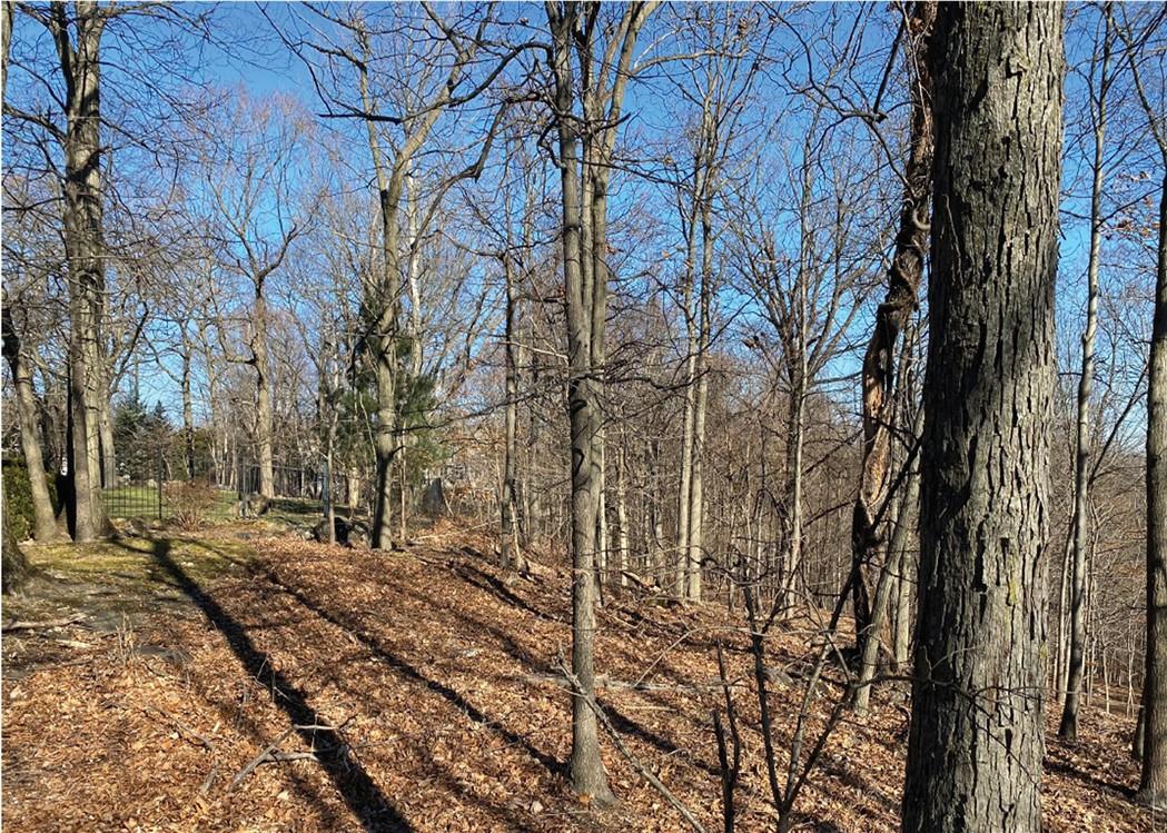 #4 photo, Cyrus Field Road, Irvington , NY 10533