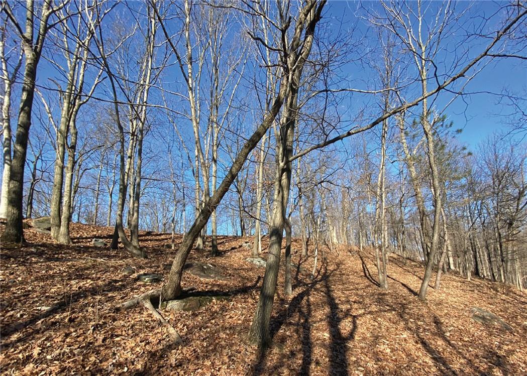 #5 photo, Cyrus Field Road, Irvington , NY 10533