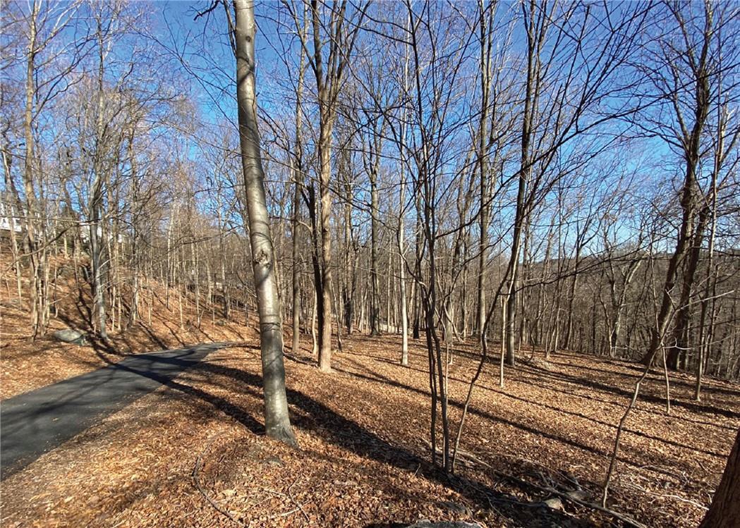 #6 photo, Cyrus Field Road, Irvington , NY 10533