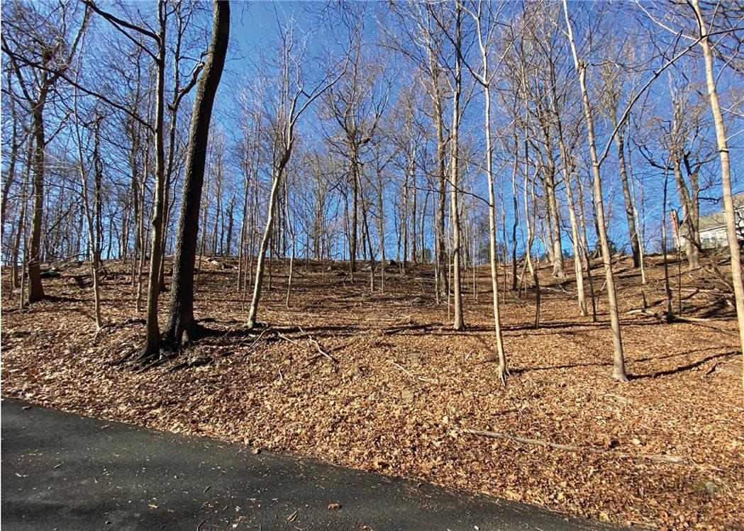 #7 photo, Cyrus Field Road, Irvington , NY 10533