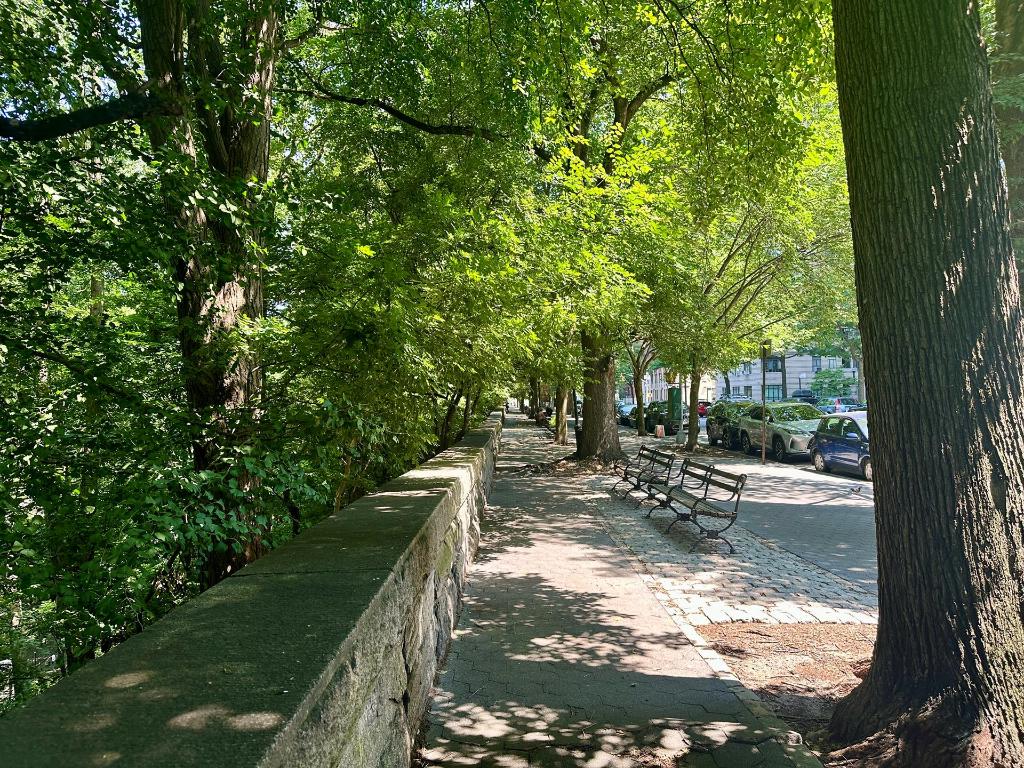 #12 photo, 328 W 86TH Street, マンハッタン Upper West Side , NY 10024