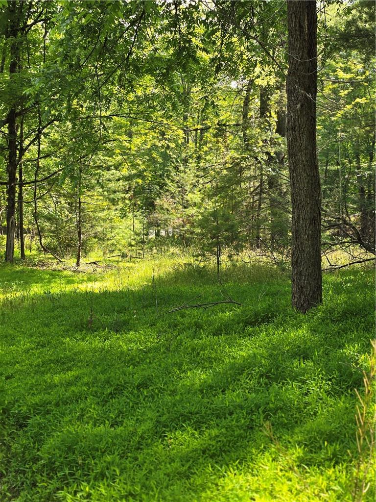 #10 photo, 400 Red Hill Road, Wurtsboro , NY 12790