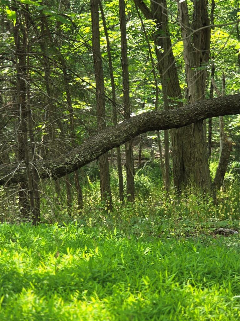 #11 photo, 400 Red Hill Road, Wurtsboro , NY 12790