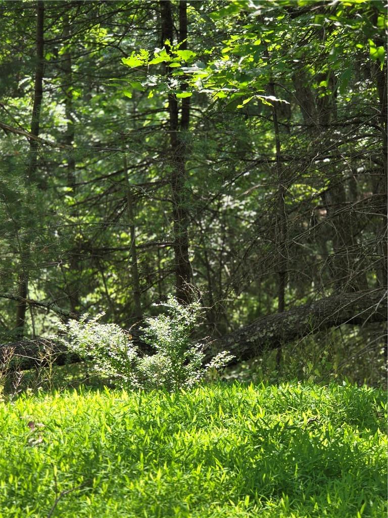 #12 photo, 400 Red Hill Road, Wurtsboro , NY 12790