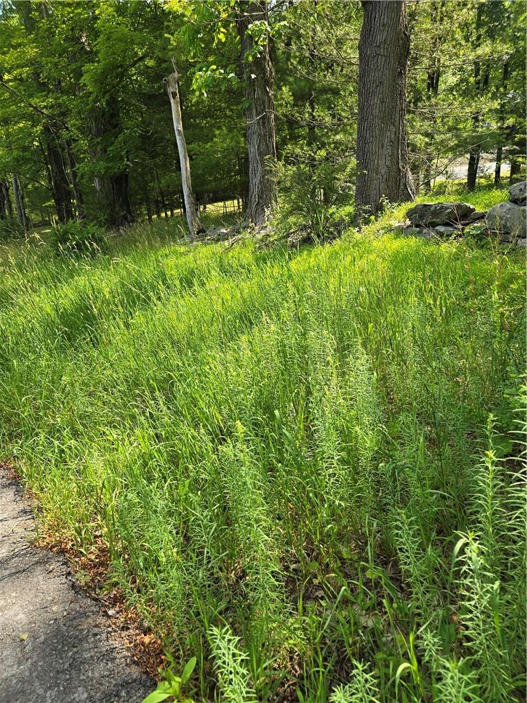 #14 photo, 400 Red Hill Road, Wurtsboro , NY 12790