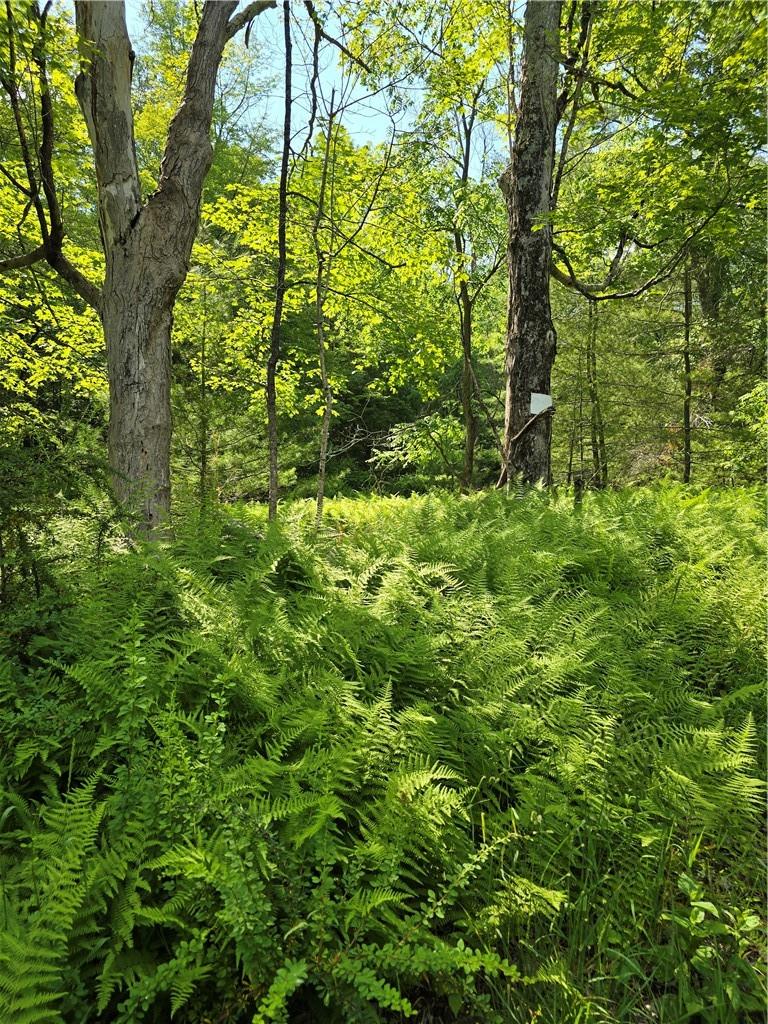 #15 photo, 400 Red Hill Road, Wurtsboro , NY 12790