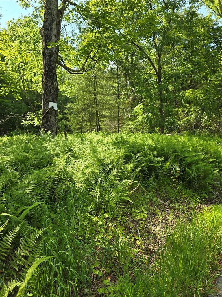 #16 photo, 400 Red Hill Road, Wurtsboro , NY 12790