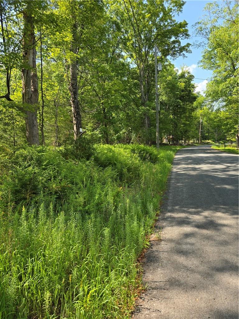 #2 photo, 400 Red Hill Road, Wurtsboro , NY 12790