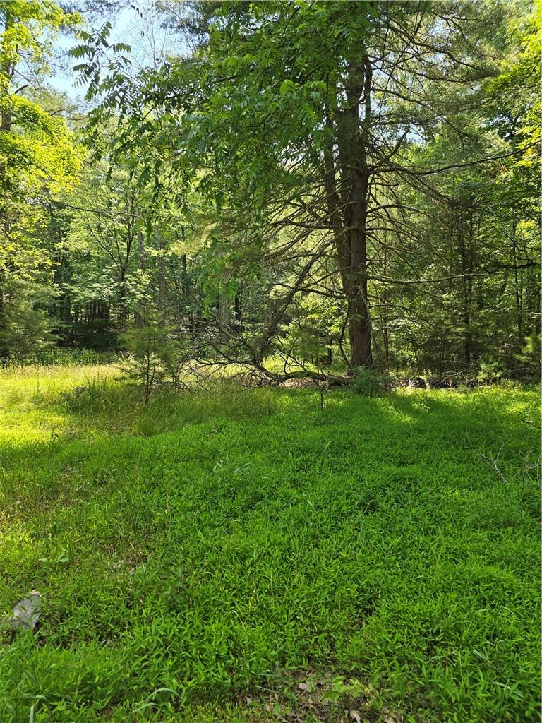 #3 photo, 400 Red Hill Road, Wurtsboro , NY 12790