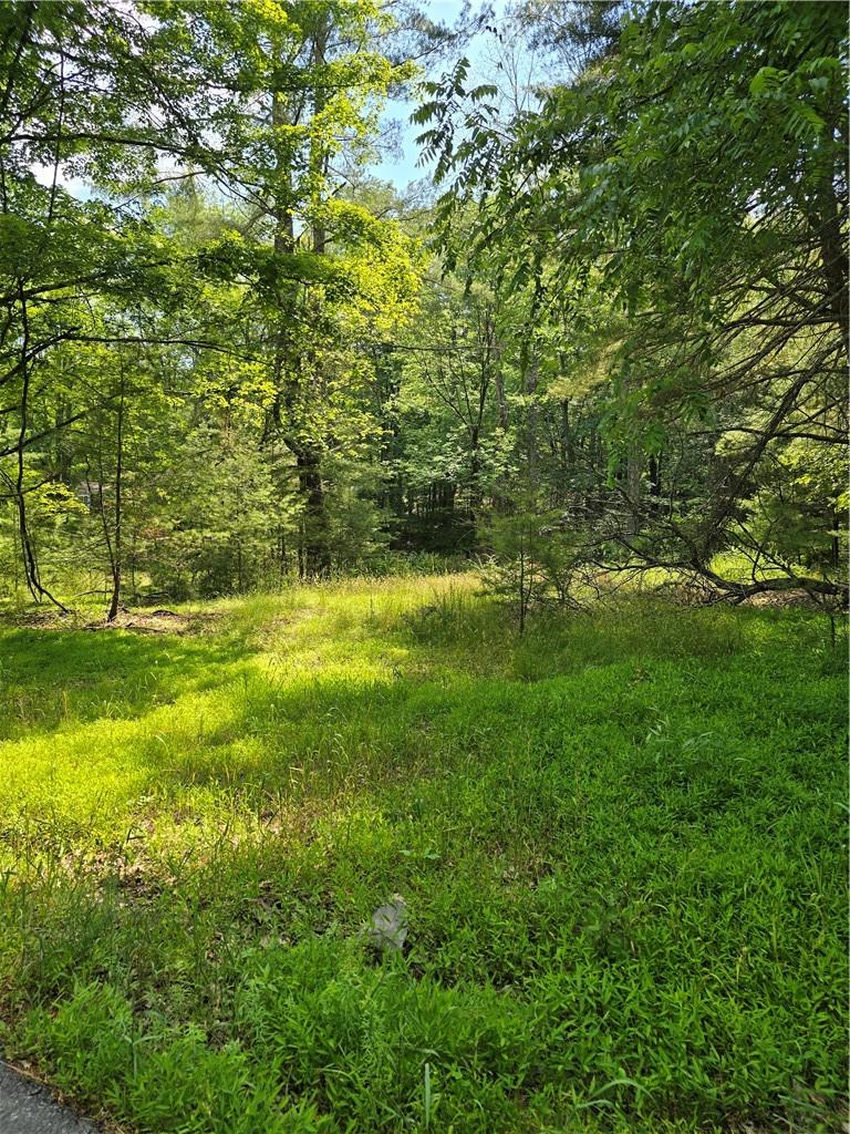 #4 photo, 400 Red Hill Road, Wurtsboro , NY 12790