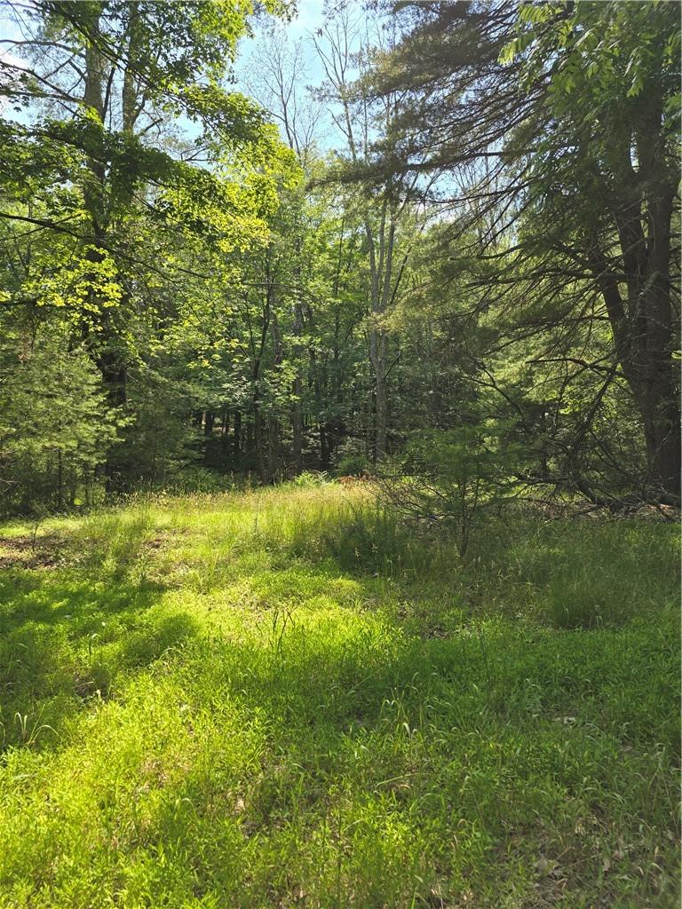 #6 photo, 400 Red Hill Road, Wurtsboro , NY 12790