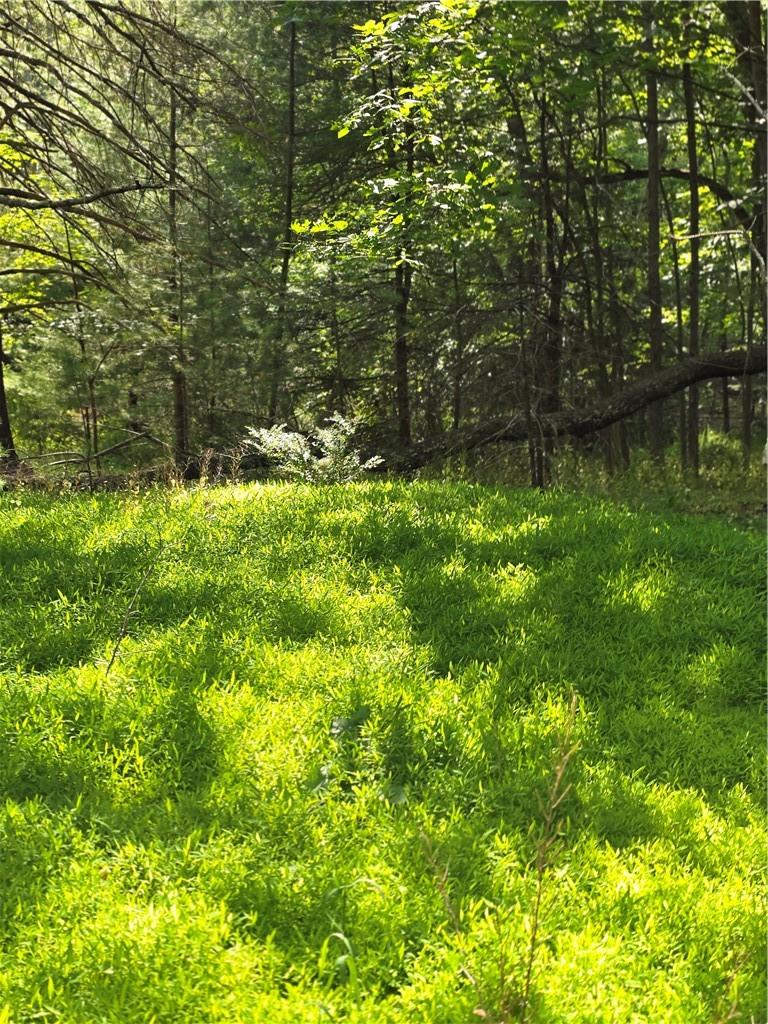 #7 photo, 400 Red Hill Road, Wurtsboro , NY 12790