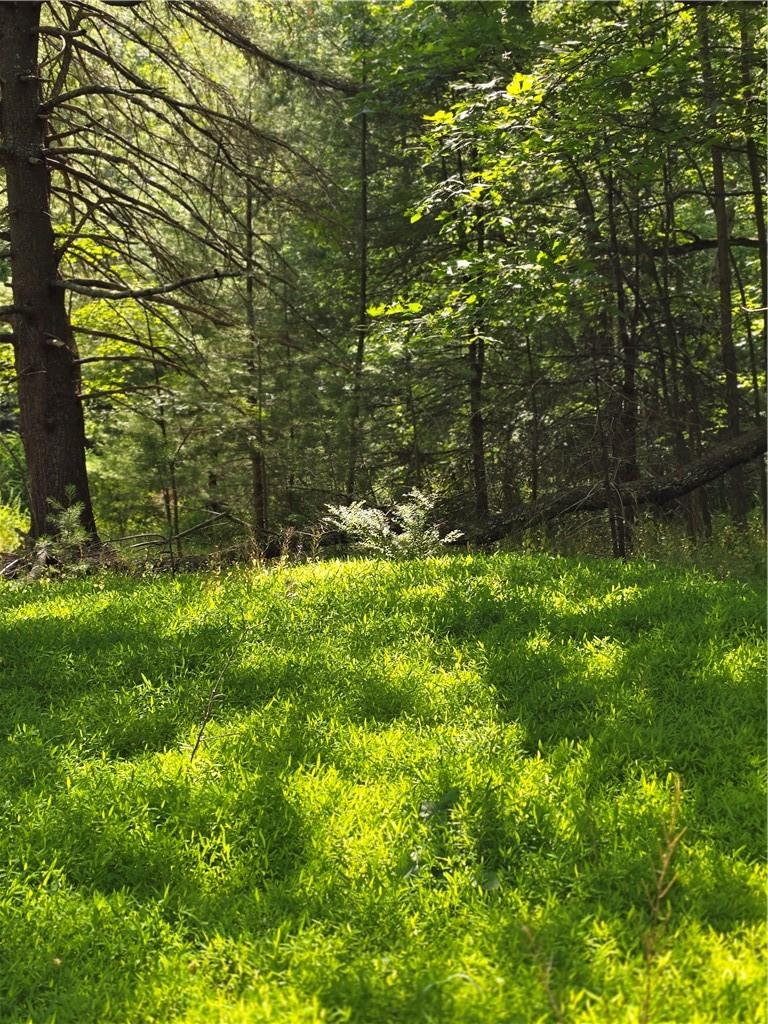 #8 photo, 400 Red Hill Road, Wurtsboro , NY 12790