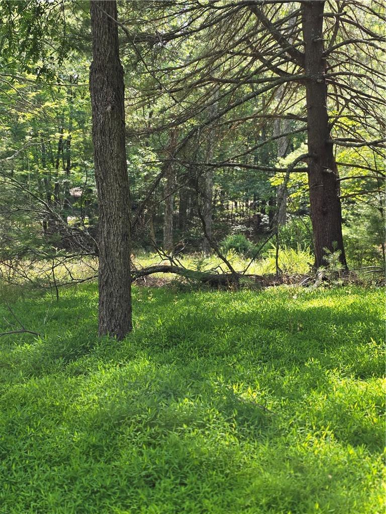 #9 photo, 400 Red Hill Road, Wurtsboro , NY 12790