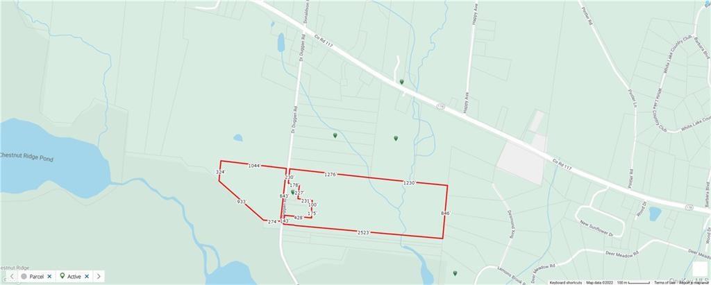 #2 photo, 105 Dr Duggan Road, Bethel , NY 12720