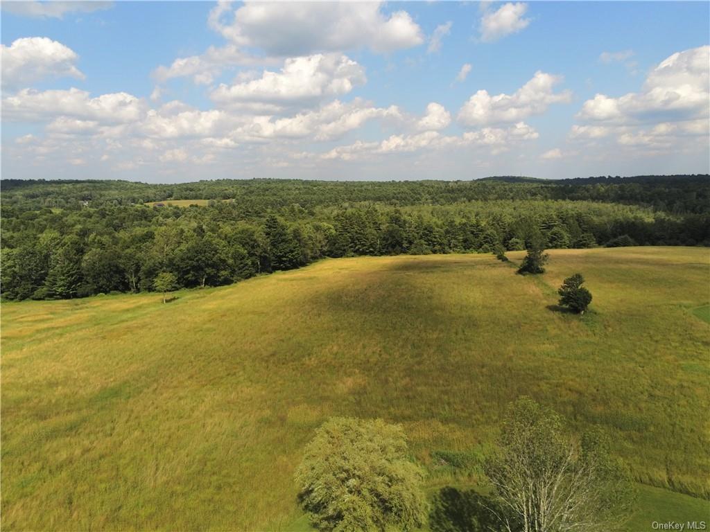 #3 photo, 105 Dr Duggan Road, Bethel , NY 12720