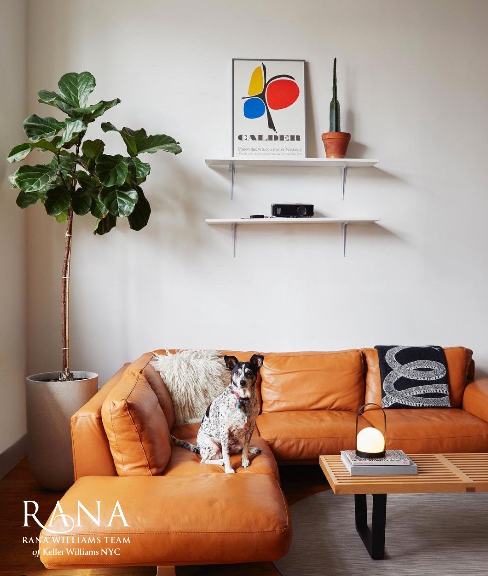 #1 photo, 91 Grand Ave Loft-F, Clinton Hill , NY 11205