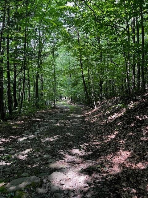 #2 photo, Rt-30, Downsville , NY 13755