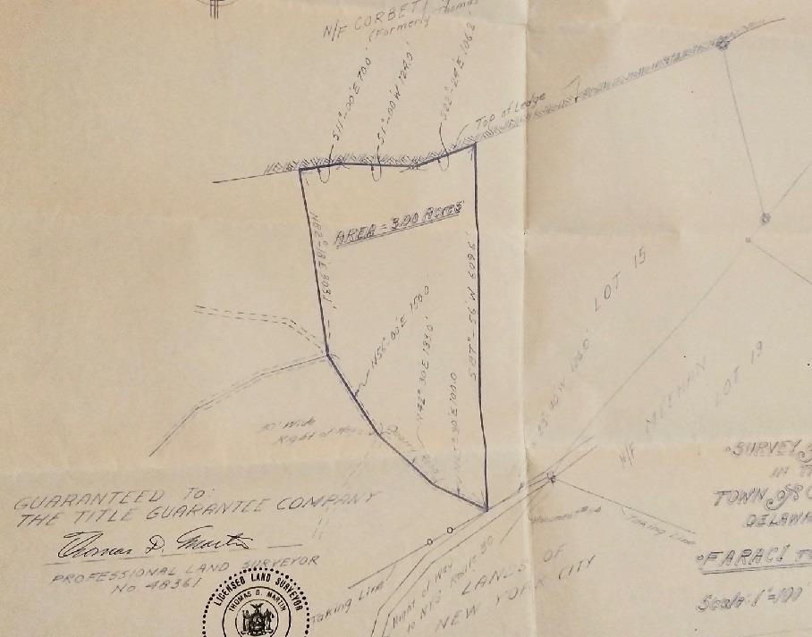 #4 photo, Rt-30, Downsville , NY 13755