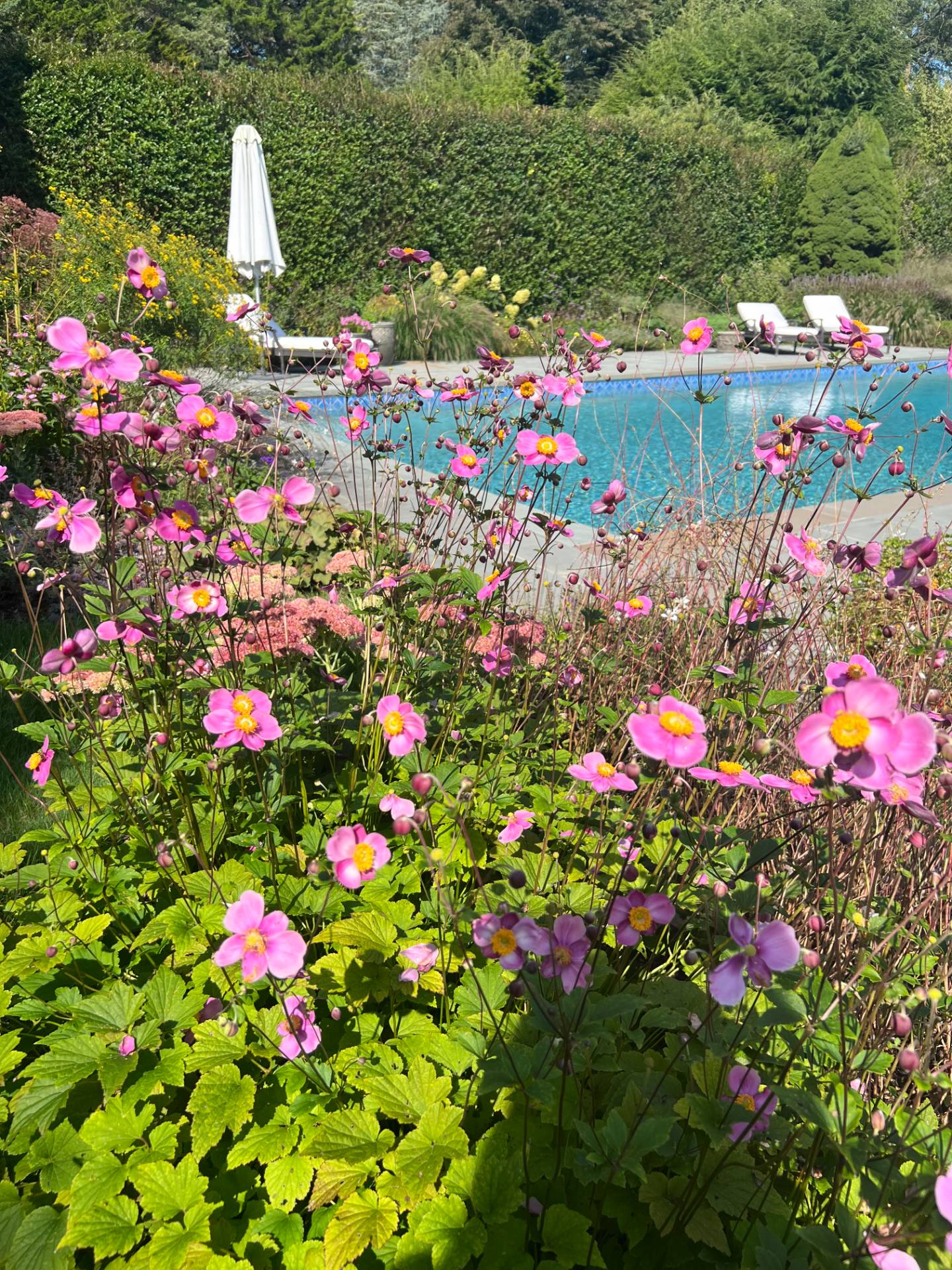 #8 photo, 89 Cobb Road, サフォーク郡 Water Mill , NY 11976