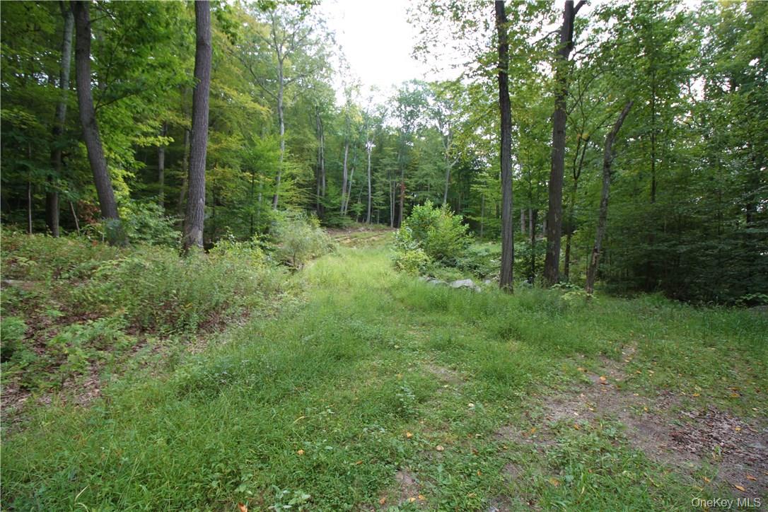 #11 photo, 7 Gale Drive, Mahopac , NY 10541