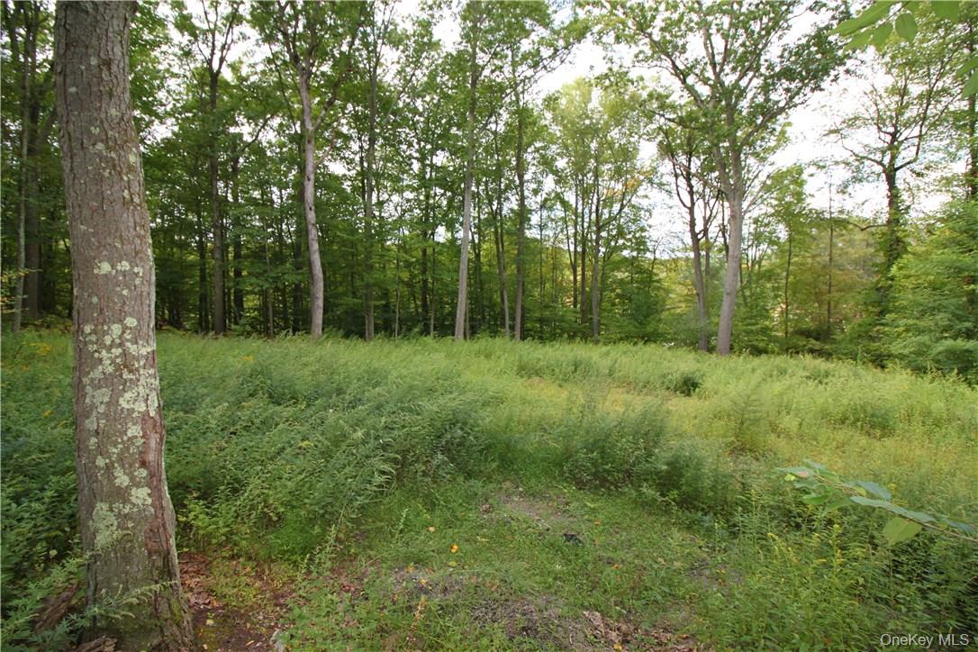 #9 photo, 7 Gale Drive, Mahopac , NY 10541