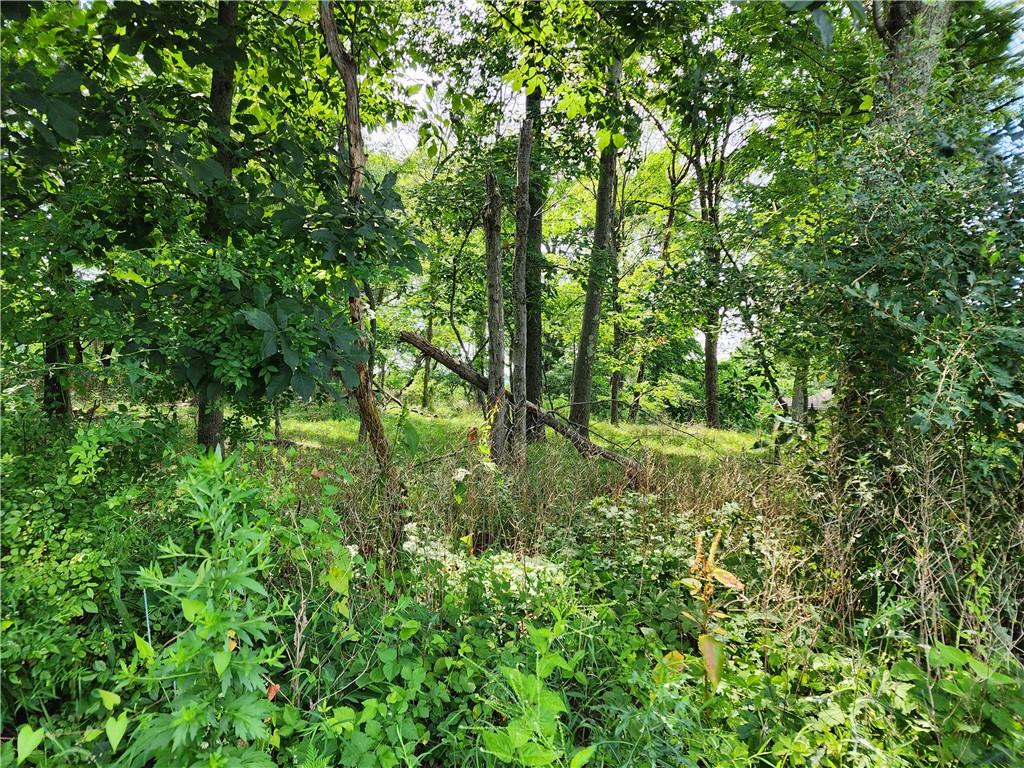 #2 photo, Kentview Drive, 纽约州 Carmel , NY 10512