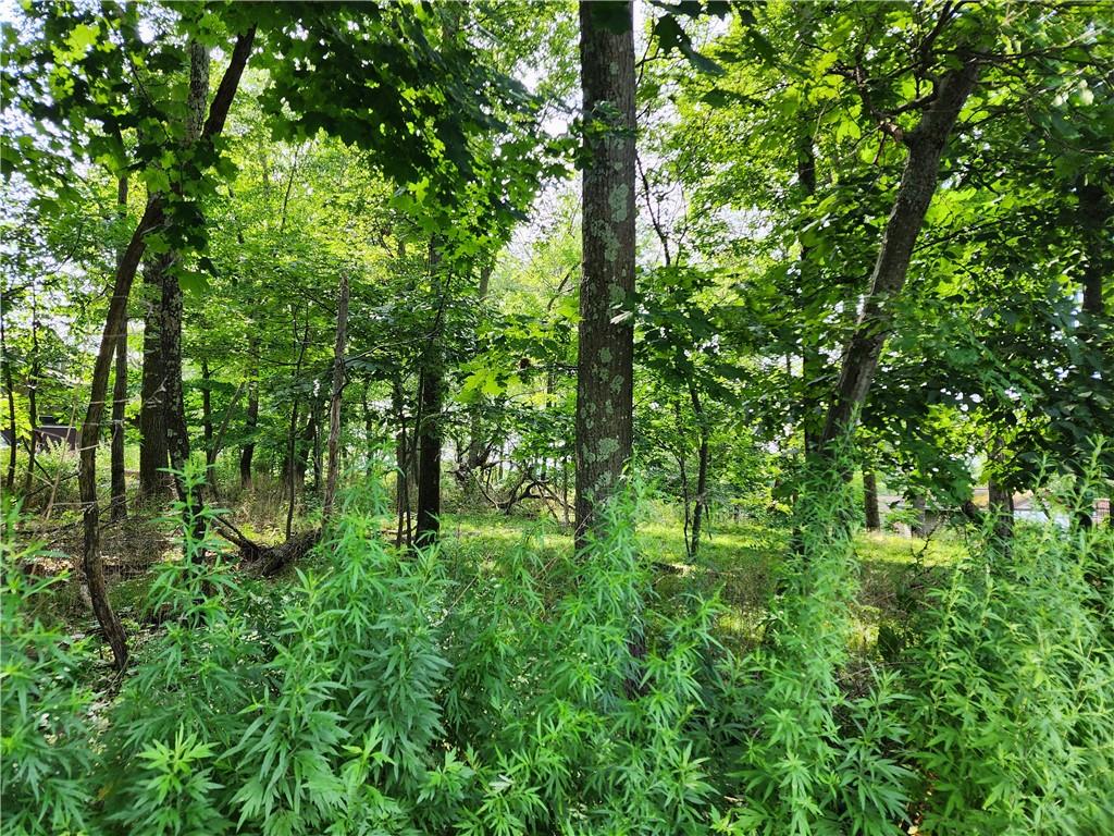 #3 photo, Kentview Drive, 纽约州 Carmel , NY 10512