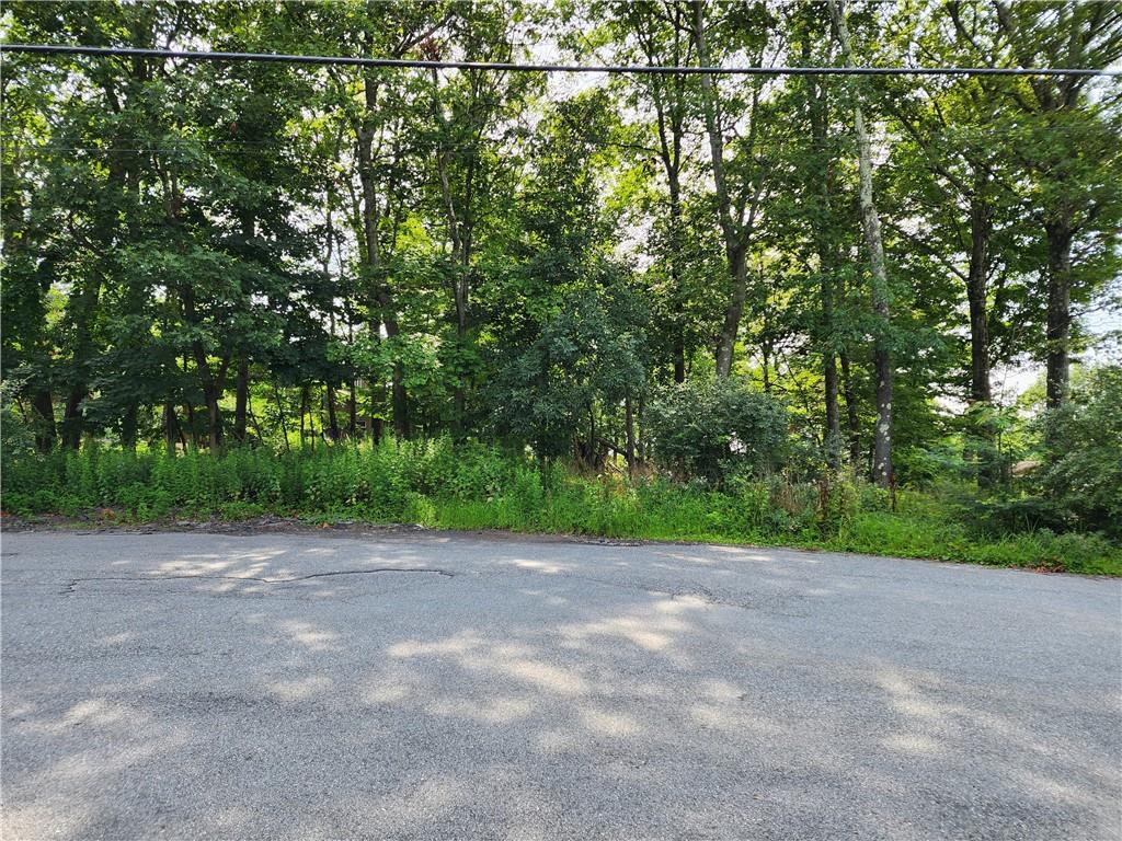 #4 photo, Kentview Drive, 纽约州 Carmel , NY 10512