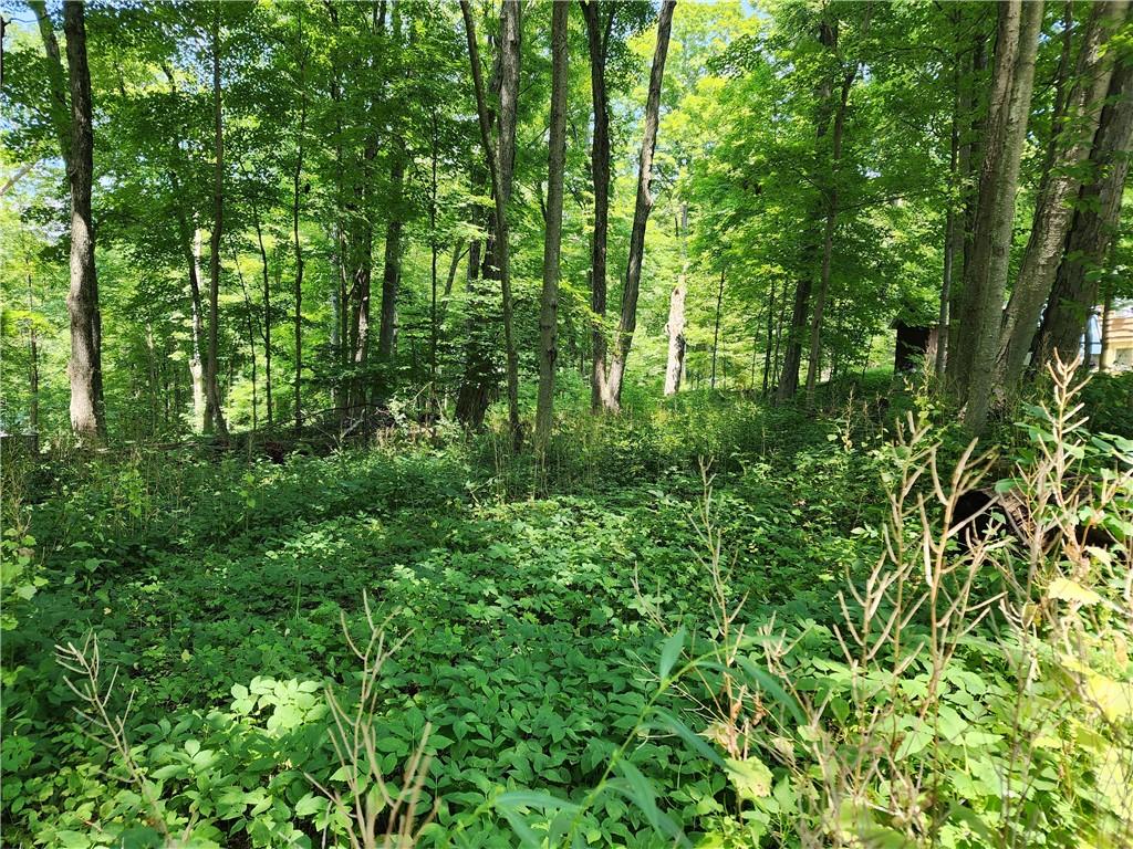 #2 photo, Rambler Road, Carmel , NY 10512