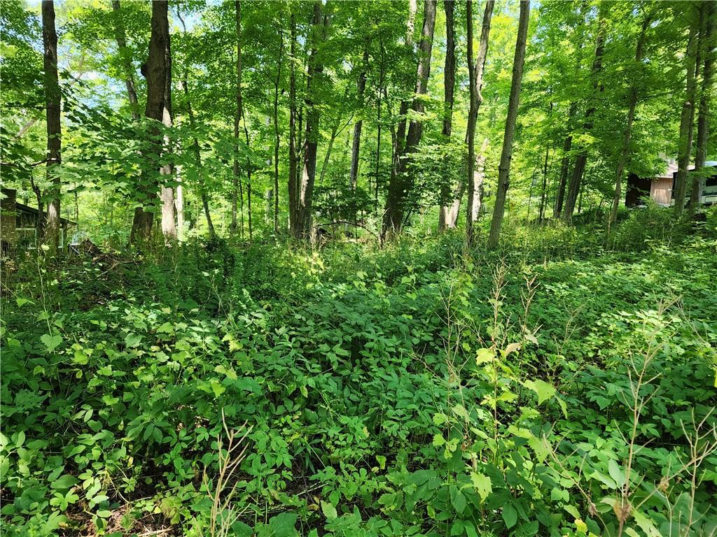 #3 photo, Rambler Road, Carmel , NY 10512