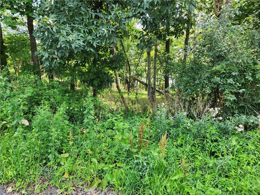 #4 photo, Rambler Road, Carmel , NY 10512