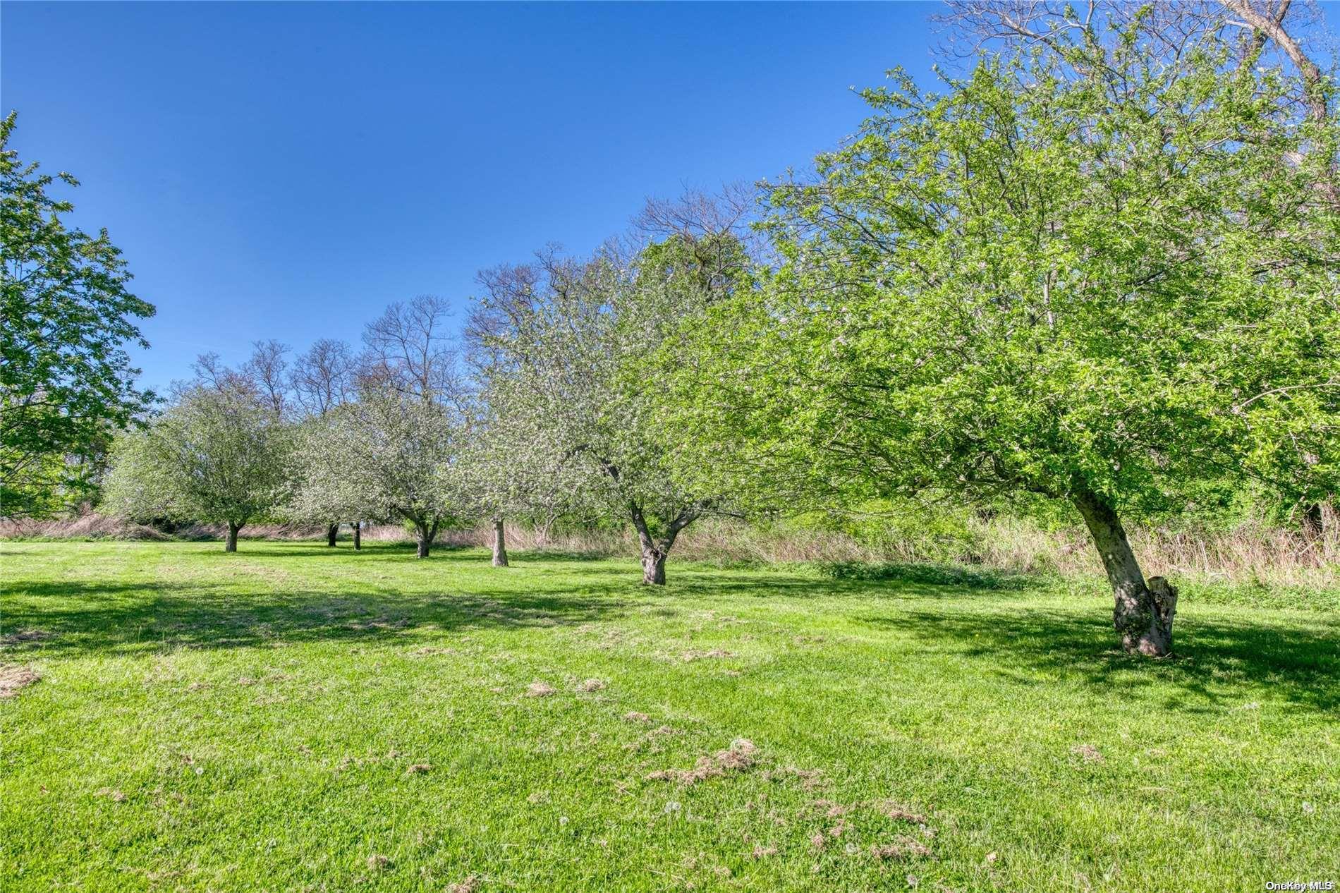 #20 photo, 1110 Terry Lane, サフォーク郡 Orient , NY 11957