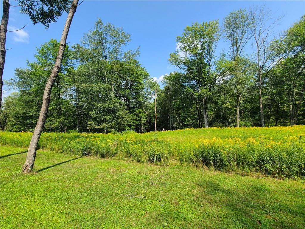 #10 photo, Lot 18 Andie Lane, Bethel , NY 12720