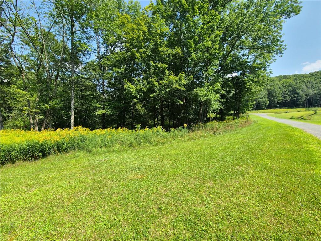 #11 photo, Lot 18 Andie Lane, Bethel , NY 12720