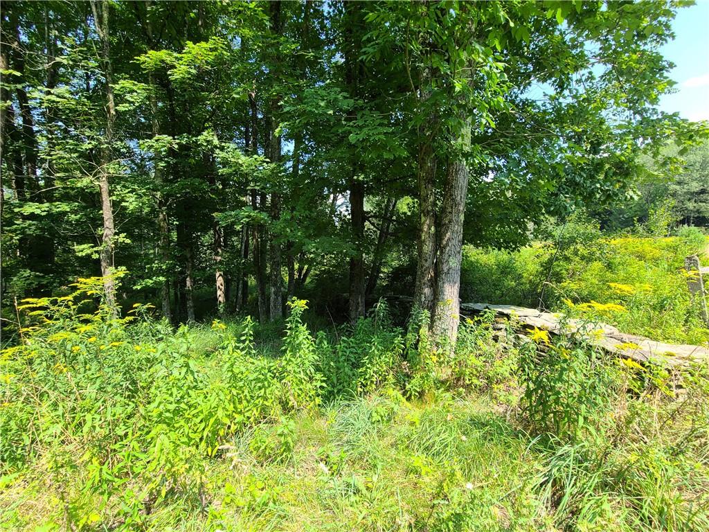 #14 photo, Lot 18 Andie Lane, Bethel , NY 12720