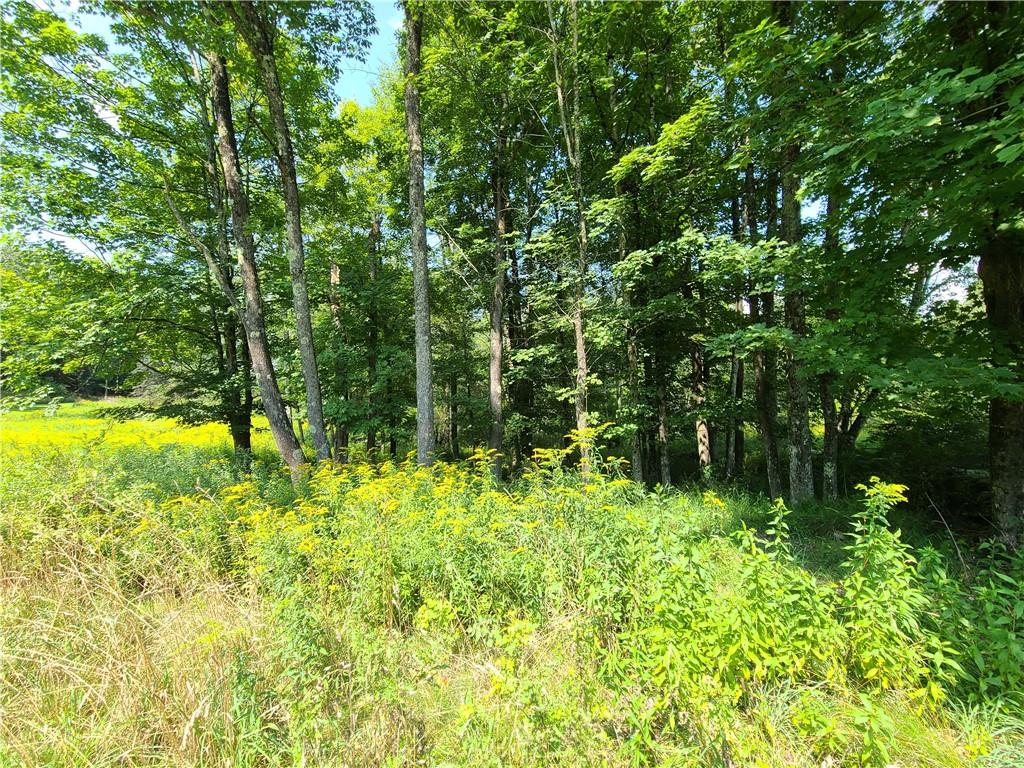 #16 photo, Lot 18 Andie Lane, Bethel , NY 12720