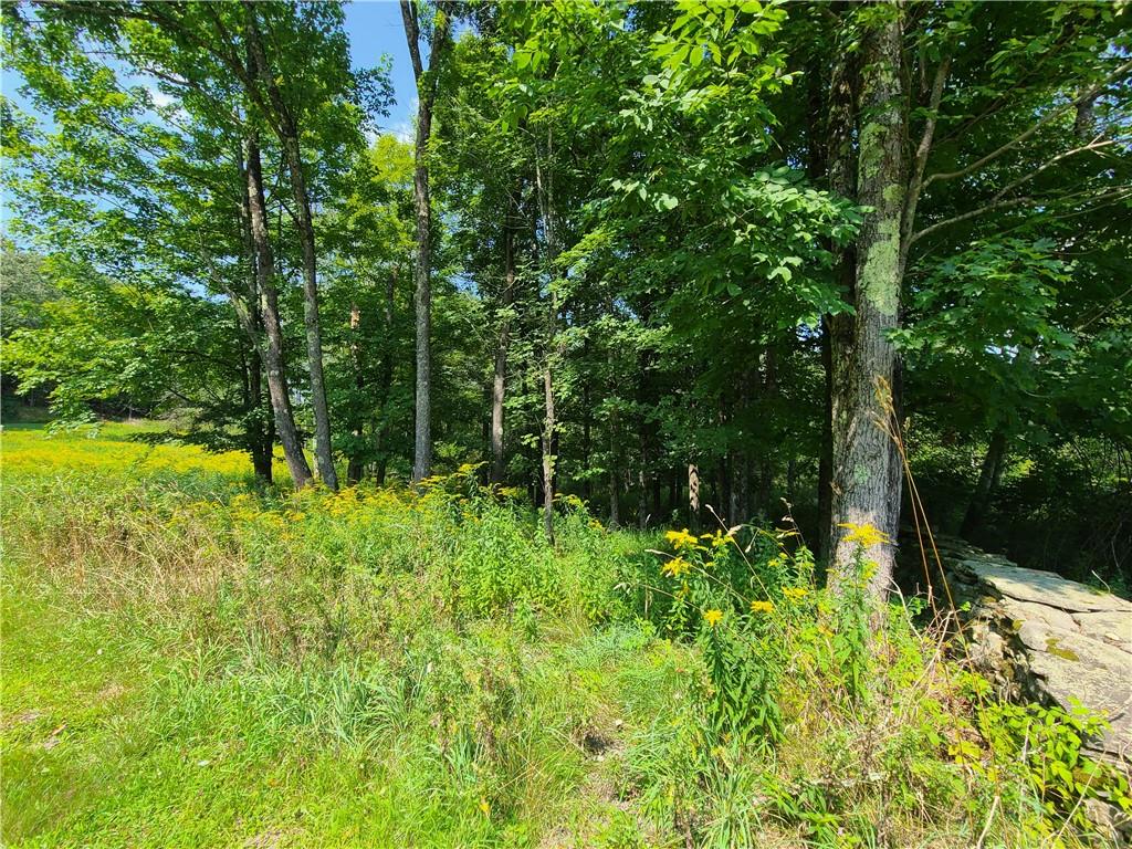#17 photo, Lot 18 Andie Lane, Bethel , NY 12720
