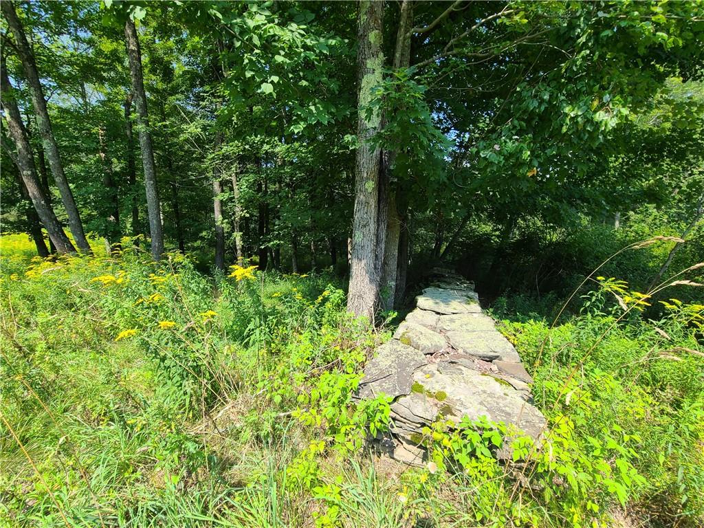 #18 photo, Lot 18 Andie Lane, Bethel , NY 12720