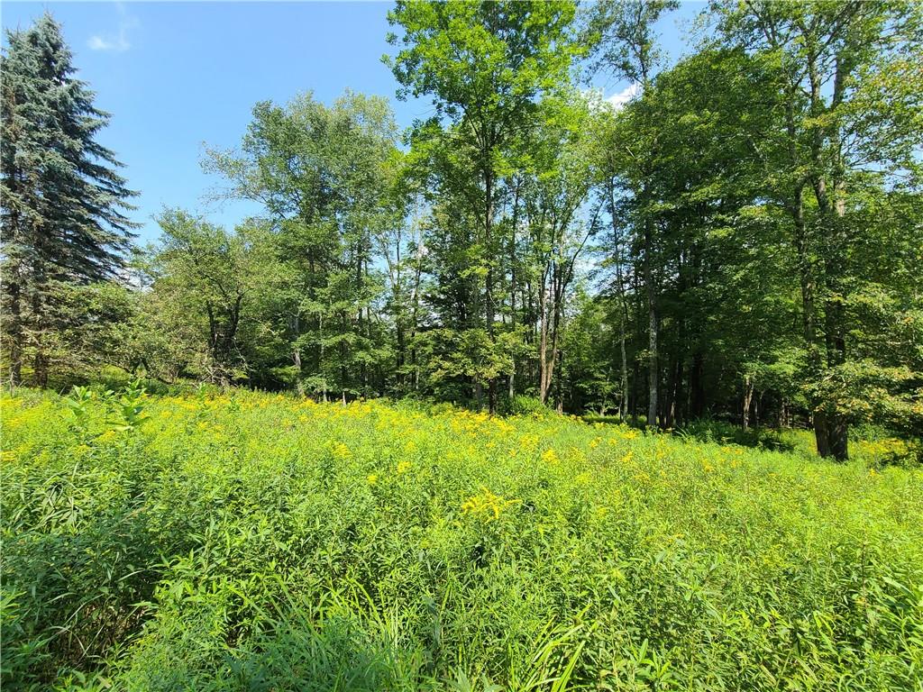 #4 photo, Lot 18 Andie Lane, Bethel , NY 12720