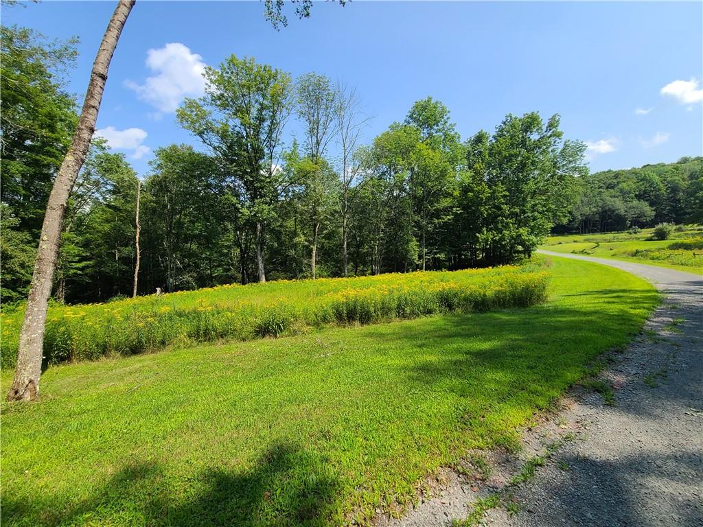 #8 photo, Lot 18 Andie Lane, Bethel , NY 12720